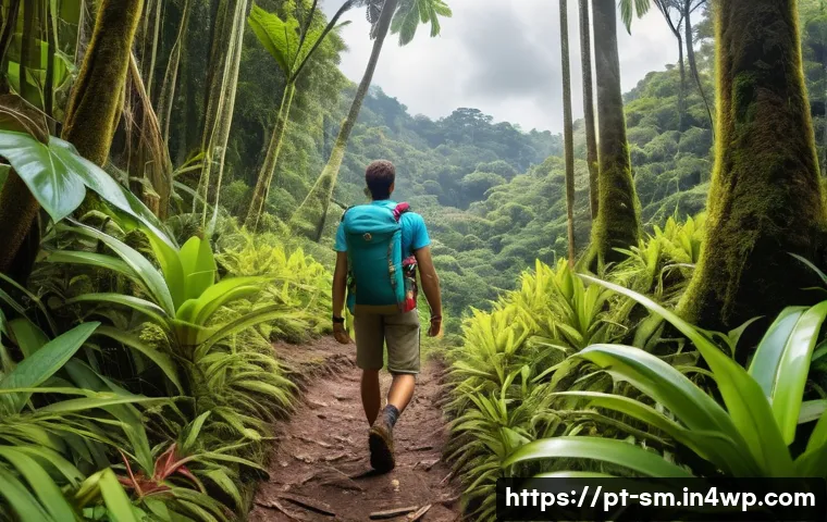 여행 중 지역 환경 보호를 위한 행동 지침 - A vibrant scene of a responsible traveler hiking a lush Brazilian rainforest trail wearing eco-frien...
